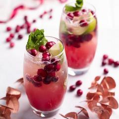Cranberry Mojito - Scottish Slimmers